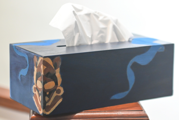 Tissue Box cover